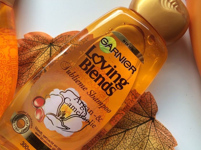 Garnier 4