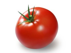 13-16-tomaat