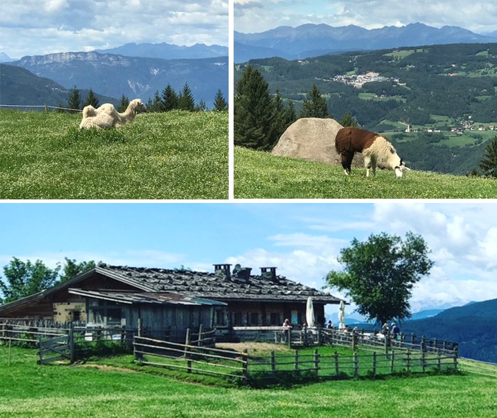 Tirol deel 3