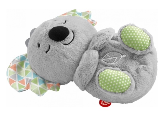 Fscher-Proce koalabeer 1