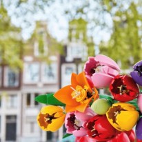 LEGO tulpen botanicals 5