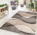 Flycarpets 1