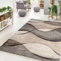 Flycarpets 1