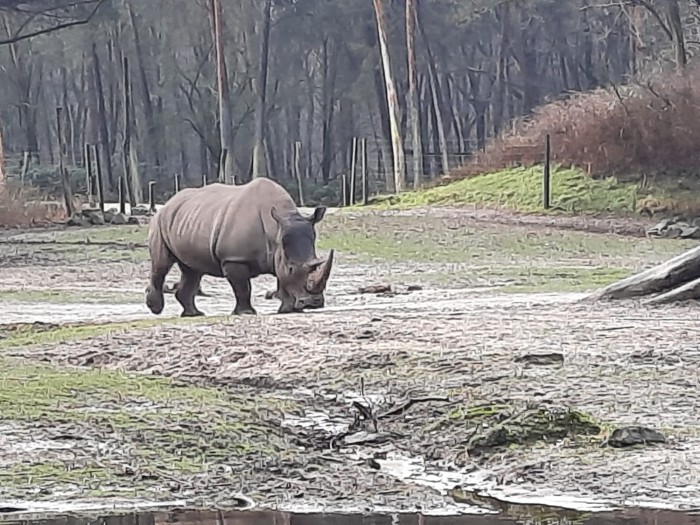 Fabelachtige wezens 12