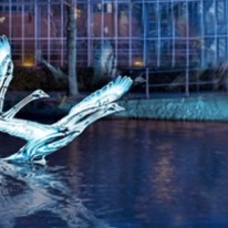 Amsterdam Lighting Festival 2025-1